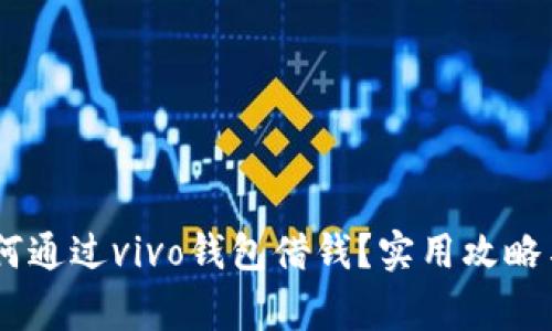 biasoti如何通过vivo钱包借钱？实用攻略与注意事项