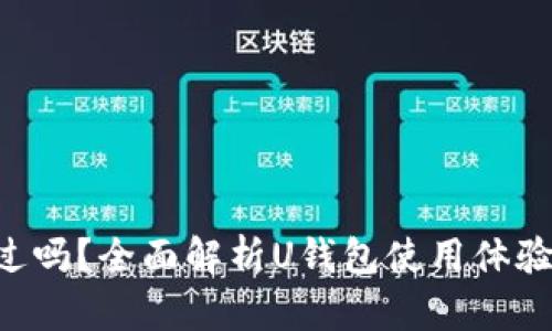 U钱包好通过吗？全面解析U钱包使用体验与申请流程