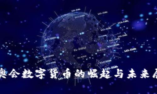 冬奥会数字货币的崛起与未来展望