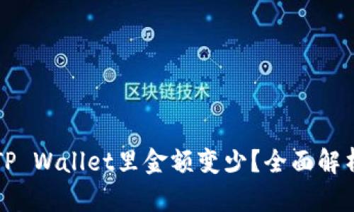 为什么转到TP Wallet里金额变少？全面解析和解决方案