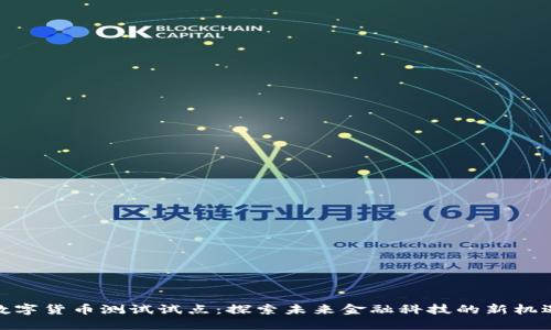 数字货币测试试点：探索未来金融科技的新机遇