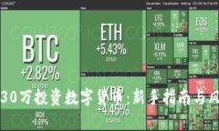 如何用30万投资数字货币：