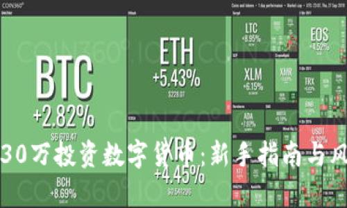 如何用30万投资数字货币：新手指南与风险解析