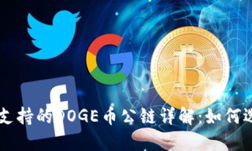 TPWallet支持的DOGE币公链详解：如何选择和使用