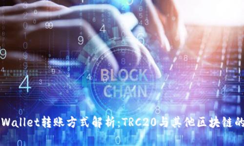 向TPWallet转账方式解析：TRC20与其他区块链的区别