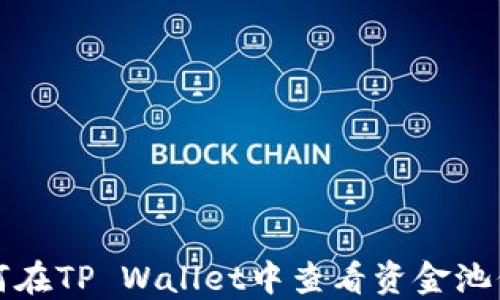 
如何在TP Wallet中查看资金池信息