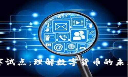 货币数字试点：理解数字货币的未来与挑战