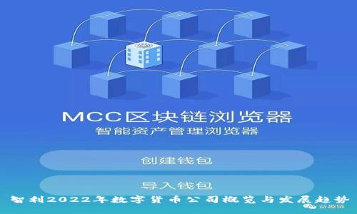 智利2022年数字货币公司概览与发展趋势