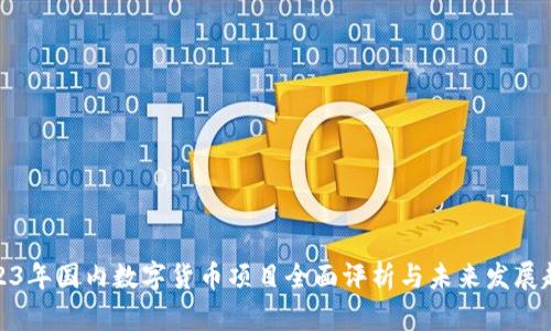2023年国内数字货币项目全面评析与未来发展趋势