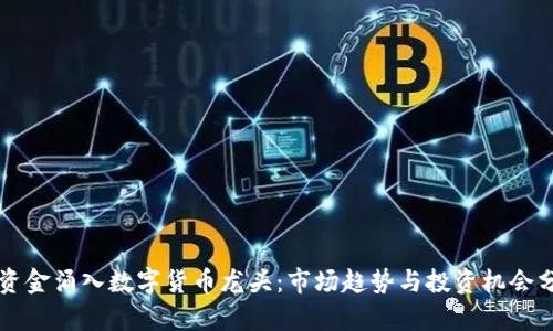 新资金涌入数字货币龙头：市场趋势与投资机会分析