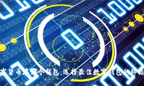 : 数字货币存哪个钱包：选择最佳数字钱包的终极指南
