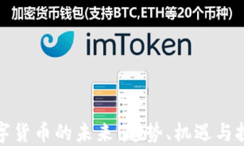 
数字货币的未来：趋势、机遇与挑战
