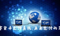央行数字货币支付系统：