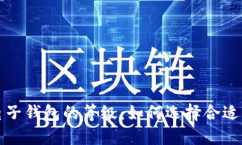 数字货币电子钱包的等级：如何选择合适的钱包类型