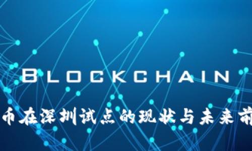 数字货币在深圳试点的现状与未来前景分析