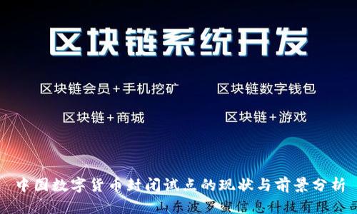 中国数字货币封闭试点的现状与前景分析