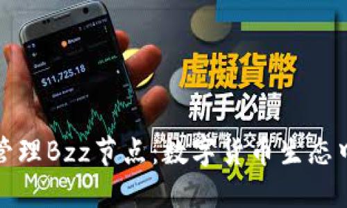 如何搭建与管理Bzz节点：数字货币生态中的重要一环