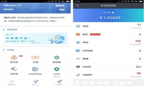 
冰糖橙：数字货币发展的新机遇与挑战