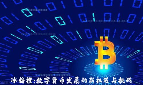 
冰糖橙：数字货币发展的新机遇与挑战