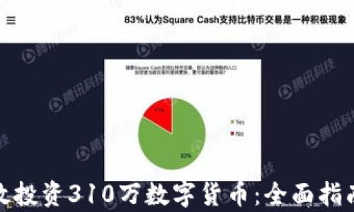 
如何有效投资310万数字货币：全面指南与策略