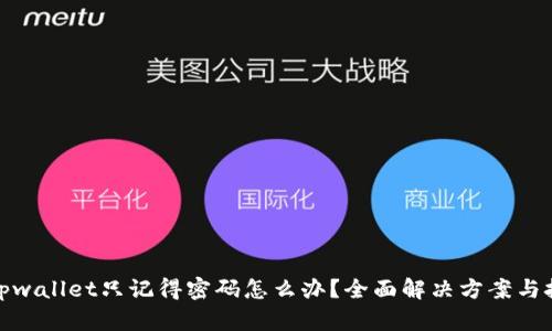 : tpwallet只记得密码怎么办？全面解决方案与技巧