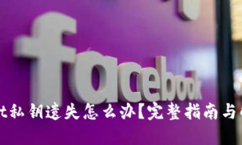 TPWallet私钥遗失怎么办？完整指南与解决方案