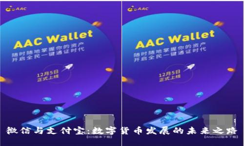 微信与支付宝：数字货币发展的未来之路