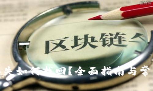 数字货币丢失如何找回？全面指南与常见问题解答