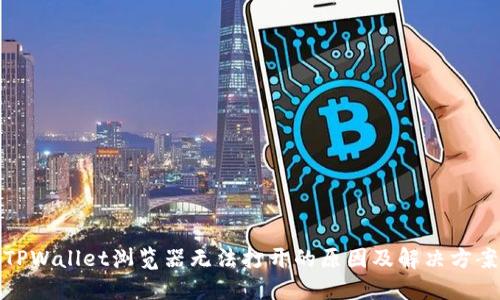 TPWallet浏览器无法打开的原因及解决方案