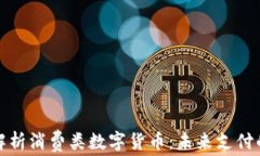 深入解析消费类数字货币