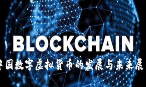 中国数字虚拟货币的发展与未来展望