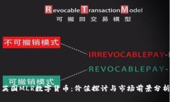 英国MLR数字货币：价值探