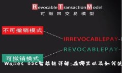 TP Wallet BSC智能链详解：在