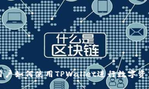 国内用户如何使用TPWallet进行数字资产管理