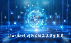 TPWallet支持的公链及其优势