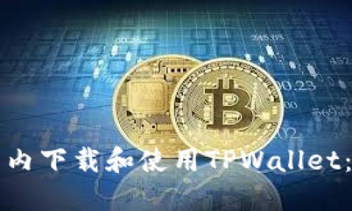 如何在国内下载和使用TPWallet：详细指南