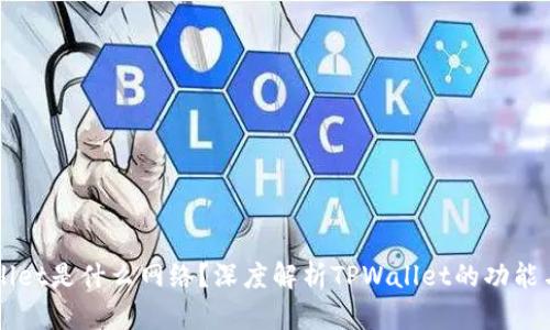 TPWallet是什么网络？深度解析TPWallet的功能与应用