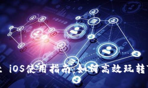 TPWallet iOS使用指南：如何高效玩转TPWallet
