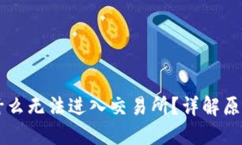 TPWallet为什么无法进入交易所？详解原因及解决方案