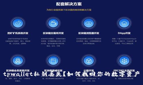 tpwallet私钥丢失？如何找回你的数字资产