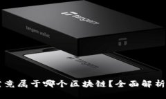 TPWallet究竟属于哪个区块链？全面解析与最新动态
