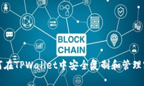 如何在TPWallet中安全复制和管理密钥