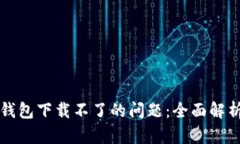 解决小狐狸钱包下载不了的问题：全面解析与解